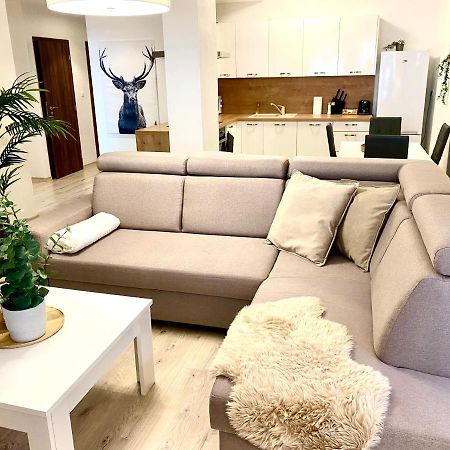 The Elite Suite Downtown A/C & Garage Parking Bratislava Exterior foto