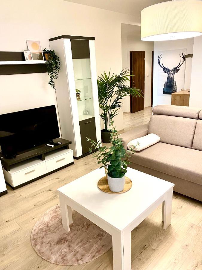 The Elite Suite Downtown A/C & Garage Parking Bratislava Exterior foto
